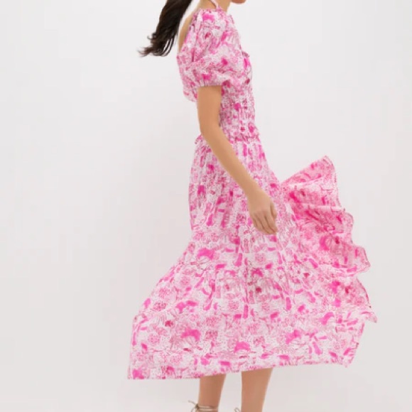 TUCKERNUCK RO'S GARDEN SOLD OUT!! Pink Anaplois Percy Midi Dress XL NWT GORGEOUS - Picture 4 of 10
